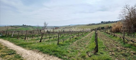 20غرفة منزل في Castiglione d'Orcia, Italy رقم 82730 4