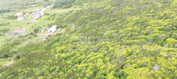 Grundstück in Horta, Portugal, Nr. 217951 5