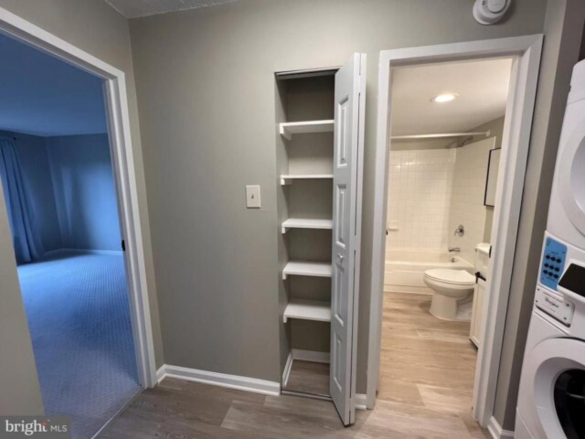 Studio in Arlington, USA No. 213281