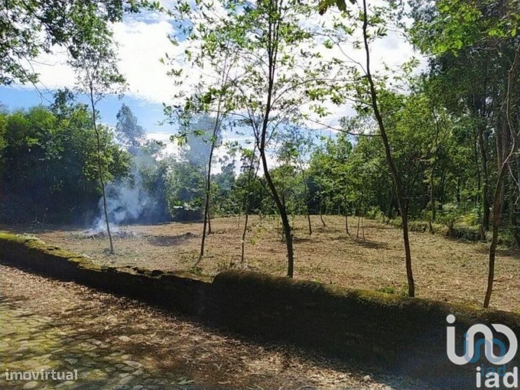 1934m² Land in Seixas, Portugal No. 191664