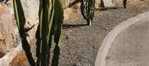 Villa de 5 dormitorios en Málaga, Spain No. 102603 15