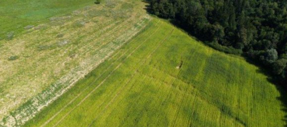 Terrain à Mariatrost, Austria No. 67034 2