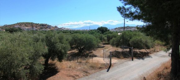 Hotel em Agios Nikolaos, Greece 7800 m² N.º 6962 4