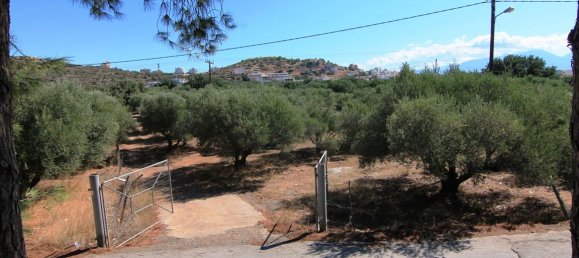 Hotel em Agios Nikolaos, Greece 7800 m² N.º 6962 3