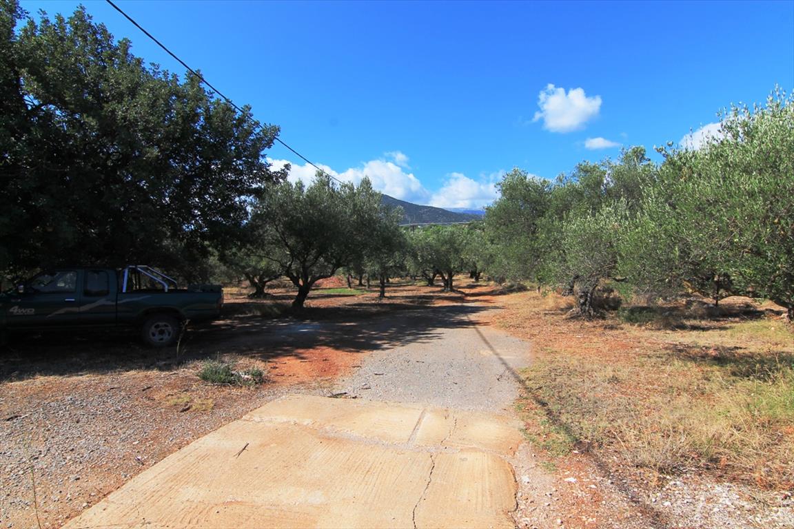 7800m² hôtel à vendre à Agios Nikolaos, Lasithi, Crete, Greece № 6962