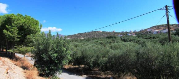 Hotel em Agios Nikolaos, Greece 7800 m² N.º 6962 2