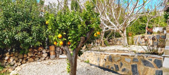 4 bedrooms Villa in Dehesa De Campoamor, Spain No. 88680 41