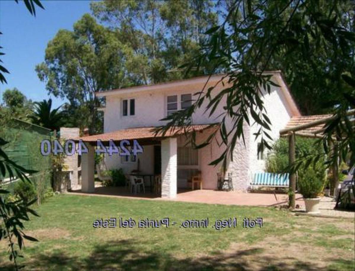 2 bedrooms House in Maldonado, Uruguay No. 8925