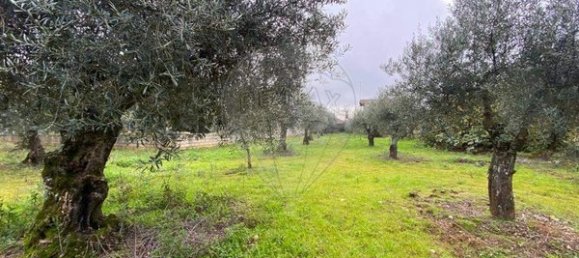 Casa de 3 dormitorios en Olmos, Portugal No. 181991 12