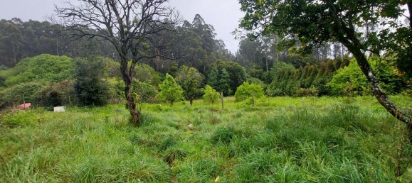 Casa de 3 dormitorios en Ovar, Portugal No. 42714 4