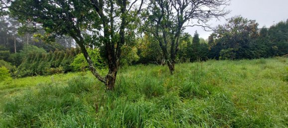 Casa de 3 dormitorios en Ovar, Portugal No. 42714 3