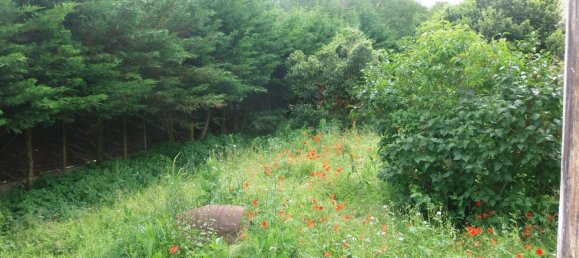 2 bedrooms House in Chinon, France No. 264994 7