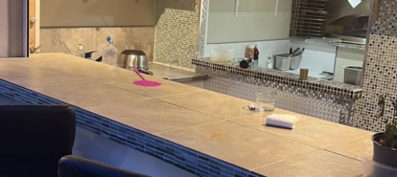 5 Schlafzimmer Haus in Lucciana, France, Nr. 54218 3