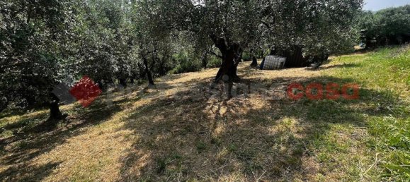 1600m² Land in Verona, Italy No. 274921 10