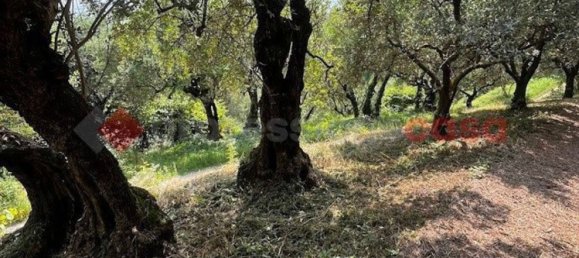 1600m² Land in Verona, Italy No. 274921 12