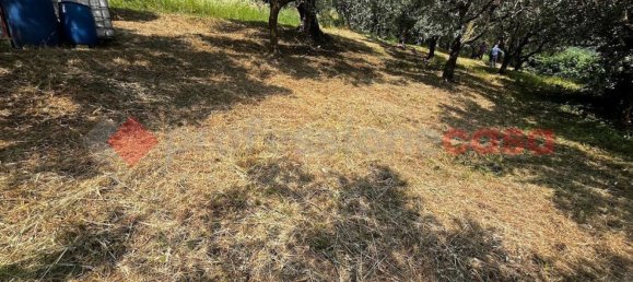 1600m² Land in Verona, Italy No. 274921 9