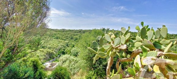 5 Schlafzimmer Villa in Bonifacio, France, Nr. 274177 4