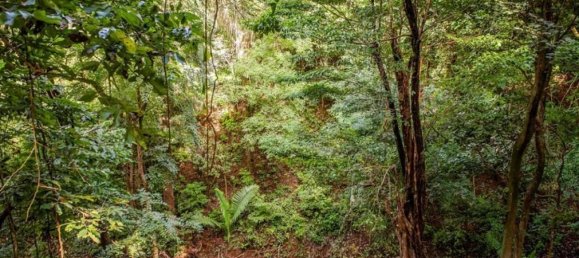  Land in Nicoya, Costa Rica No. 1458 4