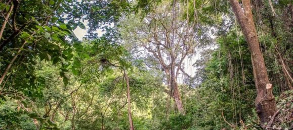  Land in Nicoya, Costa Rica No. 1458 5