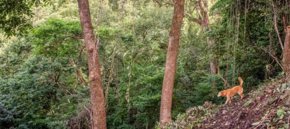  Land in Nicoya, Costa Rica No. 1458 6