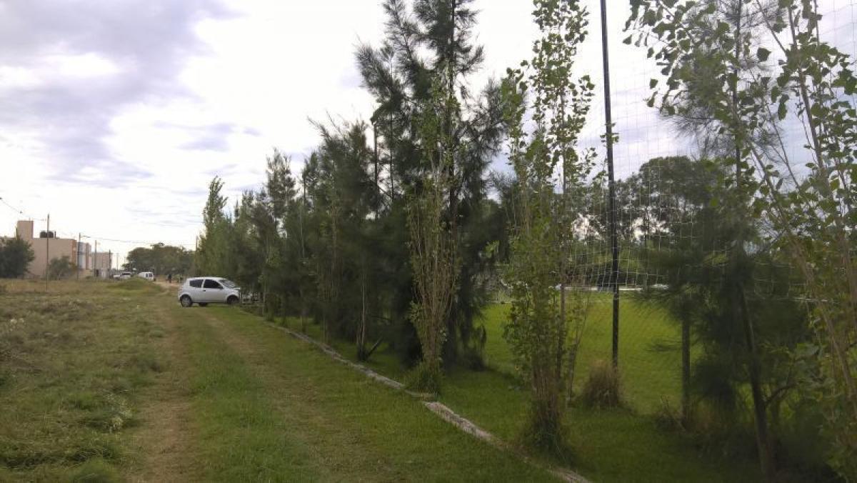  Land in Campo Creado, Argentina No. 30875