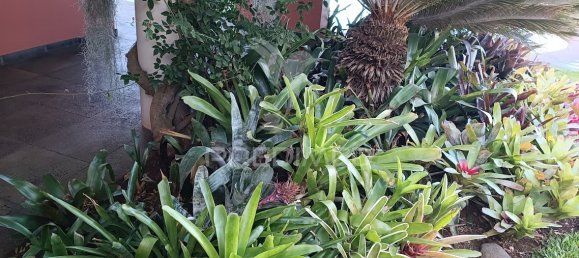 Casa de 4 dormitorios en Funchal, Portugal No. 146486 16