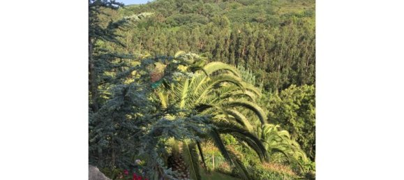 4 chambres Maison à Colares, Portugal No. 120576 24