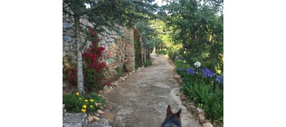 4 chambres Maison à Colares, Portugal No. 120576 19