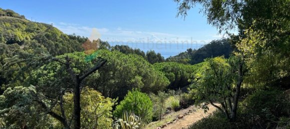 4 chambres Maison à Colares, Portugal No. 120576 7