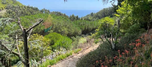 4 chambres Maison à Colares, Portugal No. 120576 8