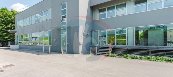 2000m² Office in Noventa Padovana, Italy No. 295388 5