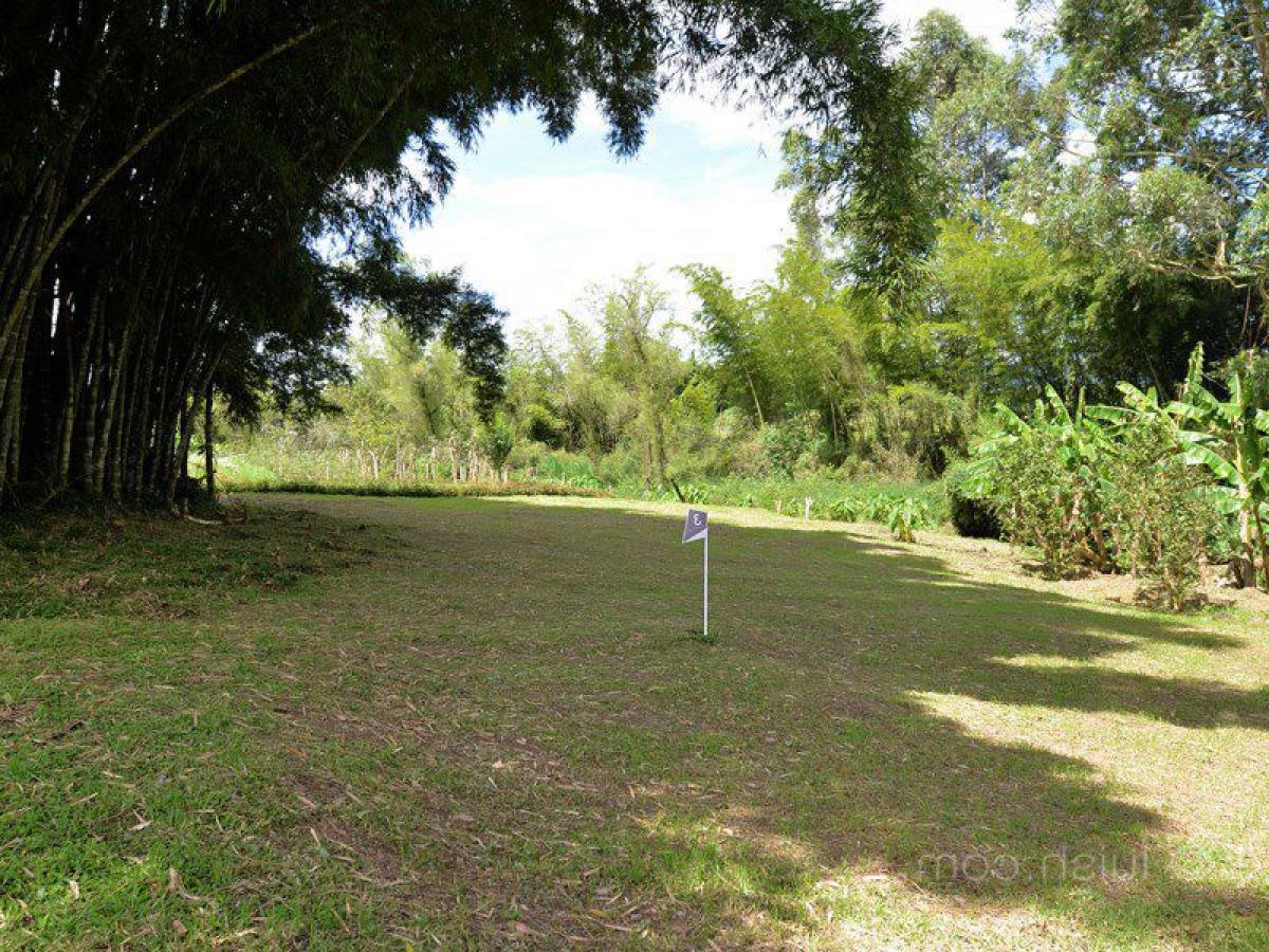  Land in Antioquia, Colombia No. 728