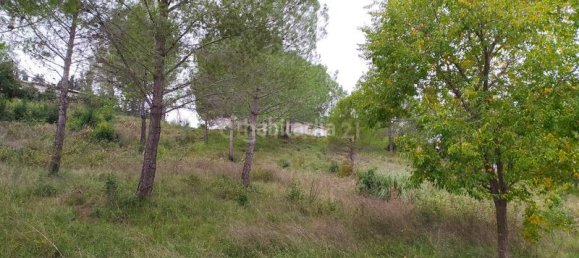 Terreno en Sant Llorenc D'hortons, Spain 421 m² No. 156654 62