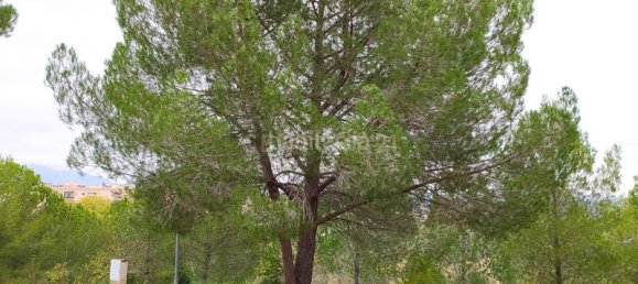 Terreno en Sant Llorenc D'hortons, Spain 421 m² No. 156654 69