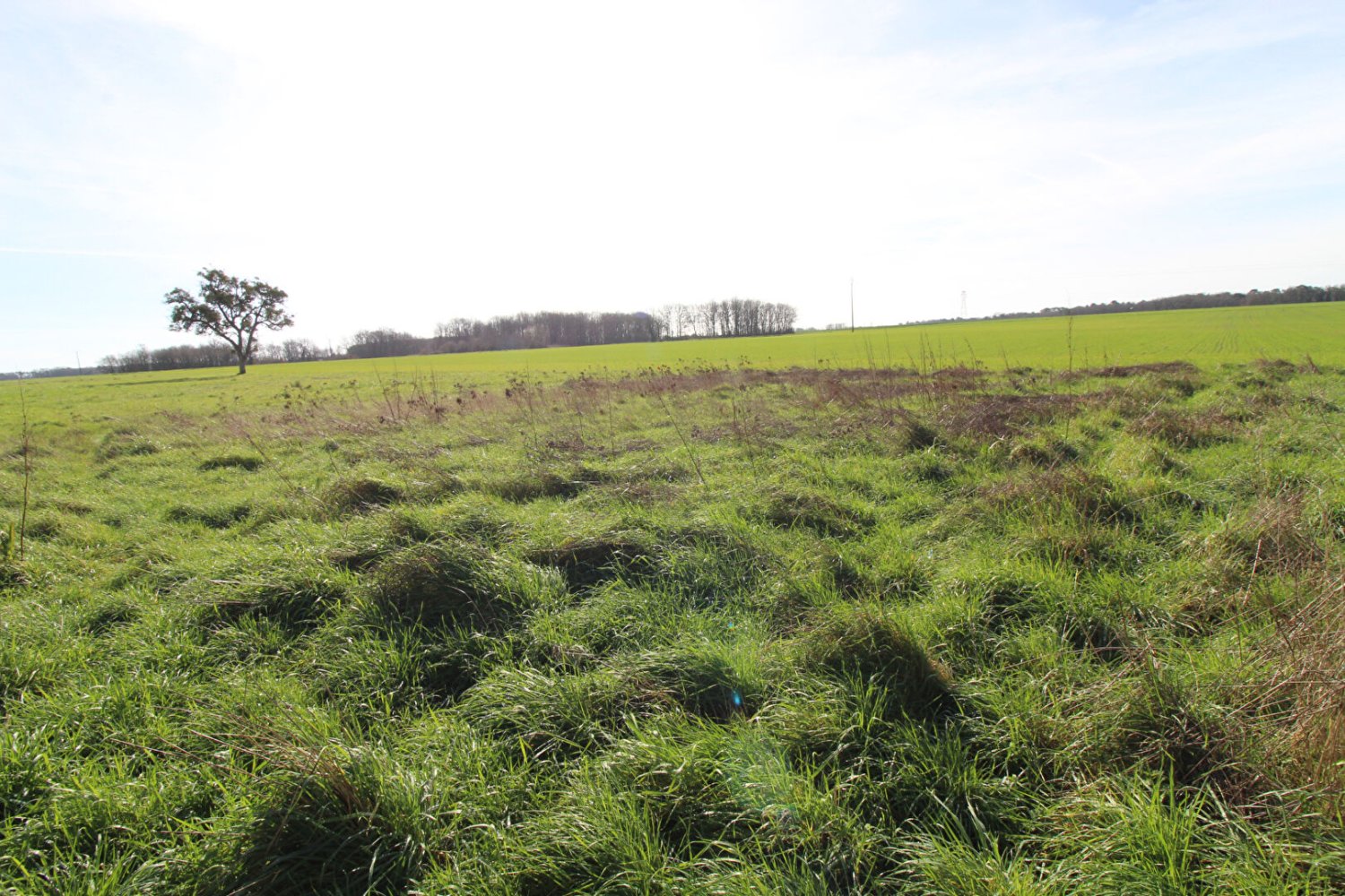 Grundstück in Blere, France 987m², Nr. 80709