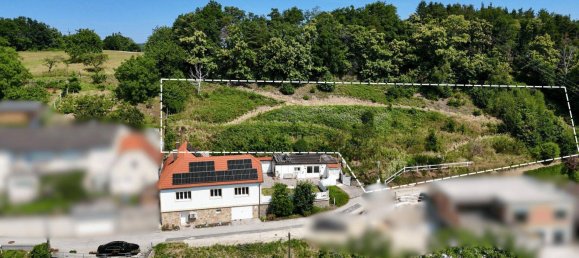 Земельный участок в Форхтенштайн, Австрия № 256014 4