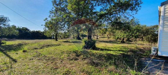 2 bedrooms House in Santa Catarina da Fonte do Bispo, Portugal No. 67727 2