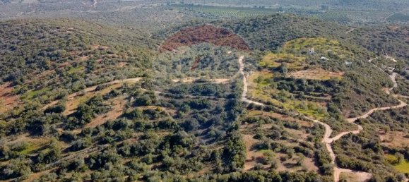 2 bedrooms House in Santa Catarina da Fonte do Bispo, Portugal No. 67727 16