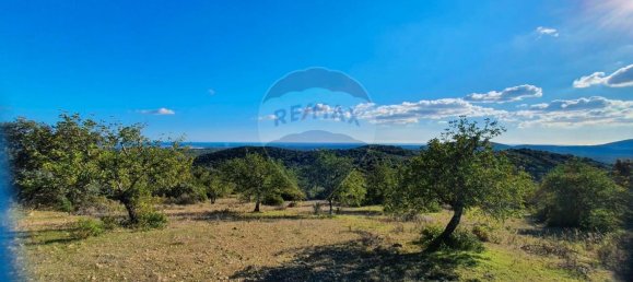 2 bedrooms House in Santa Catarina da Fonte do Bispo, Portugal No. 67727 19