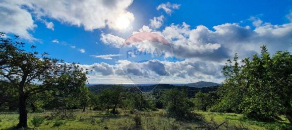 2 bedrooms House in Santa Catarina da Fonte do Bispo, Portugal No. 67727 3
