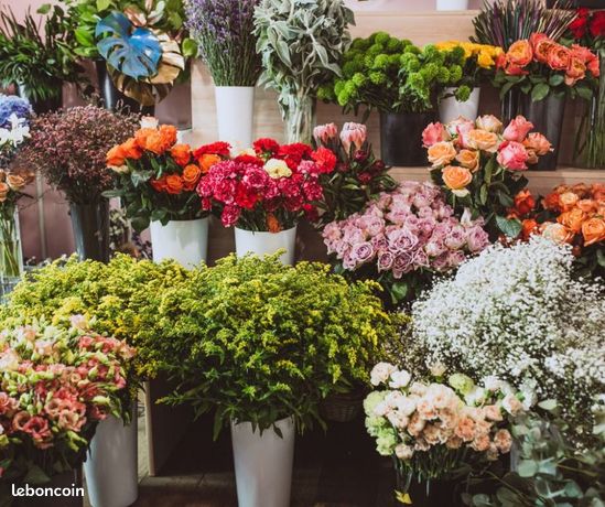 73m² Commercial property in Canet-en-Roussillon, France No. 282932