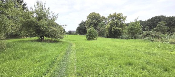 3 bedrooms House in Bergedorf, Germany No. 291138 4