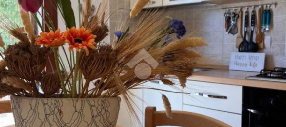 1 chambre Appartement à Valledoria, Italy No. 166383 16