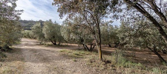 3930m² Land in Albolote, Spain No. 188825 4