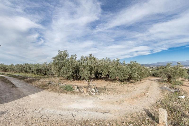 3930m² Land in Albolote, Spain No. 188825