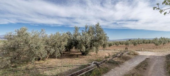3930m² Land in Albolote, Spain No. 188825 3