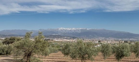 3930m² Land in Albolote, Spain No. 188825 6