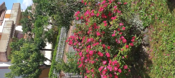 4 rooms Apartment in Bettola, Italy No. 179325 4