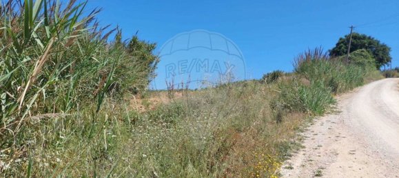 Grundstück in Lourinha, Portugal 2720m², Nr. 87703 6