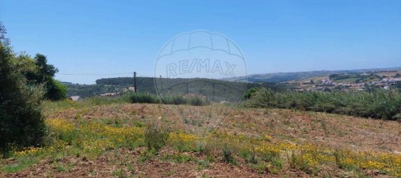 Grundstück in Lourinha, Portugal 2720m², Nr. 87703 7